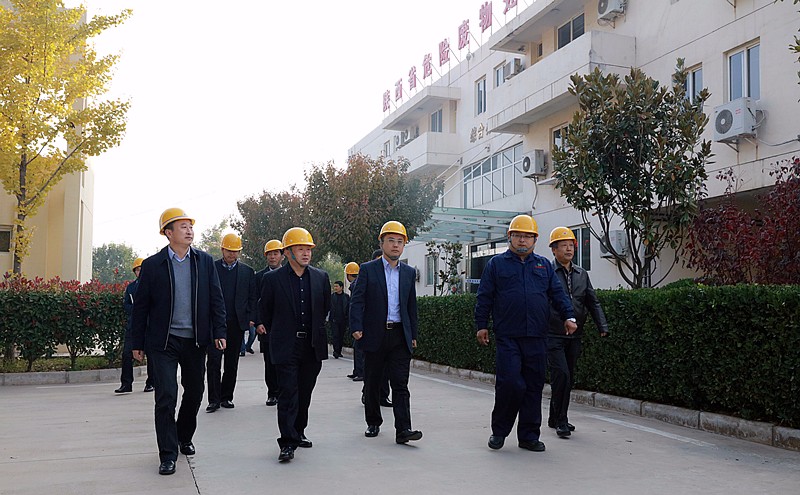 14782589776589646cLW.jpg 禮泉1.jpg